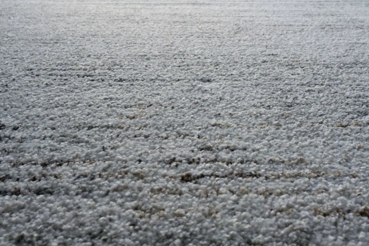 3409 Granada Rug - Image 11